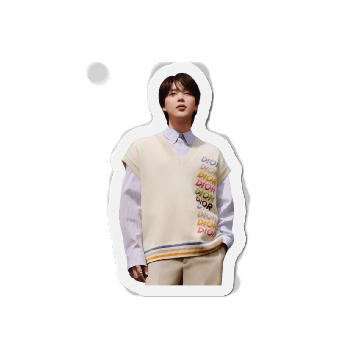BTS Park Jimin Dior Photoshoot Wearing a Sweater Magnet