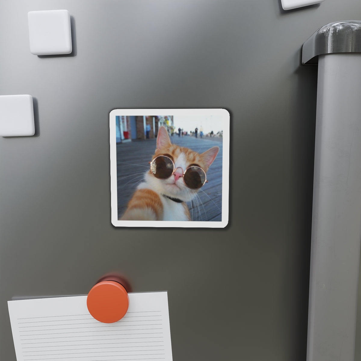 Custom Die Cut Magnets