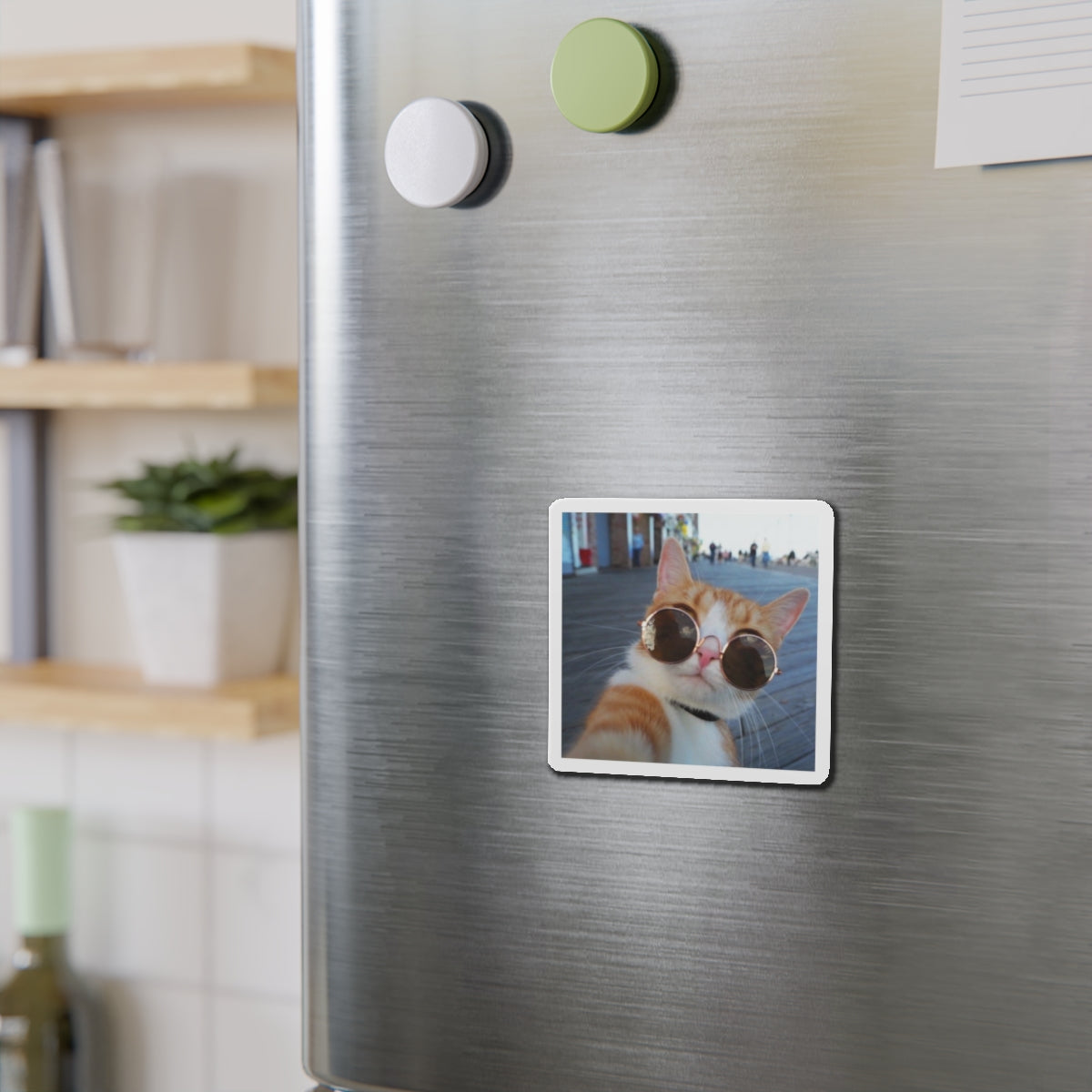 Custom Die Cut Magnets
