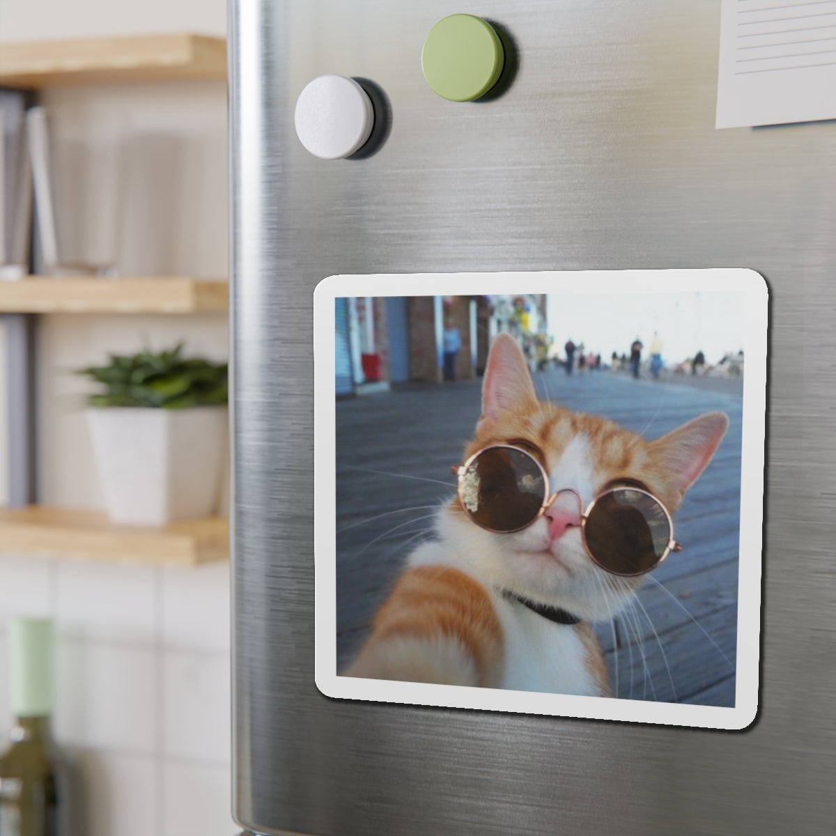 Custom Die Cut Magnets
