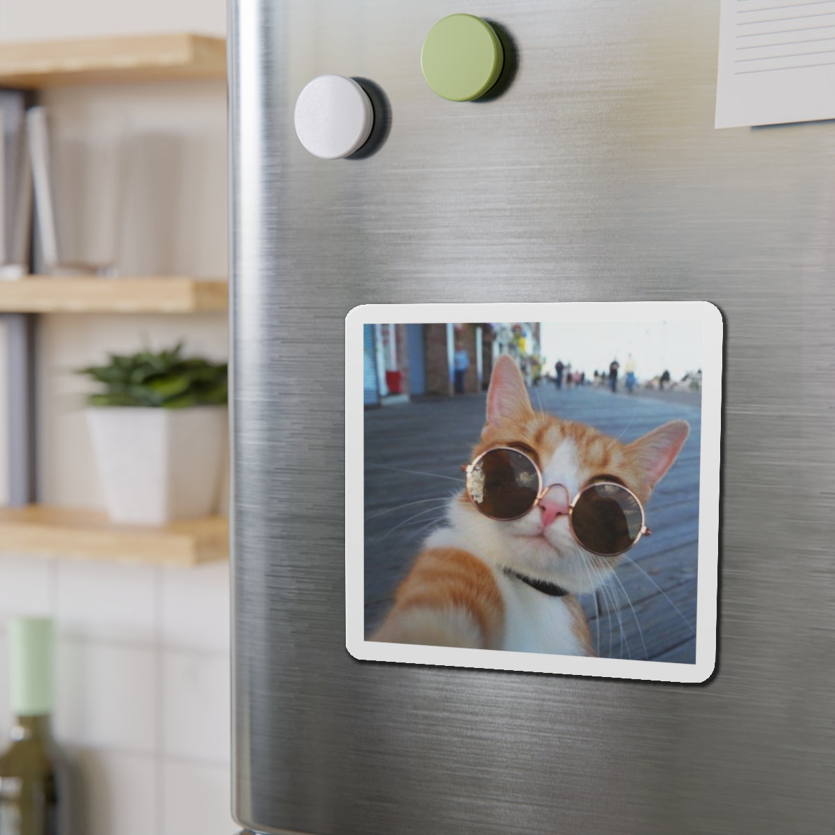 Custom Die Cut Magnets