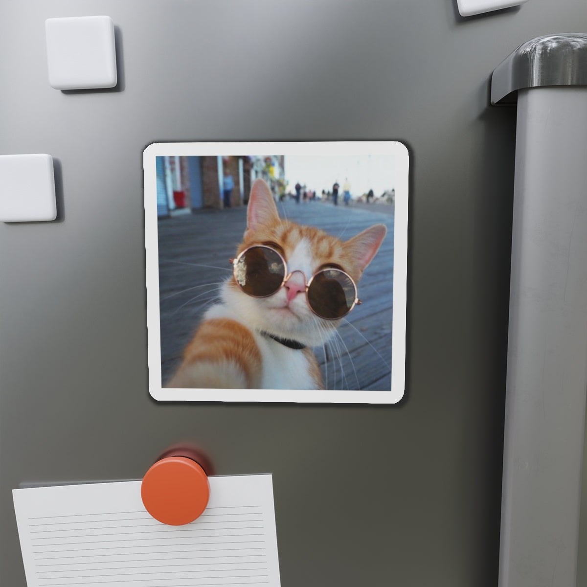 Custom Die Cut Magnets
