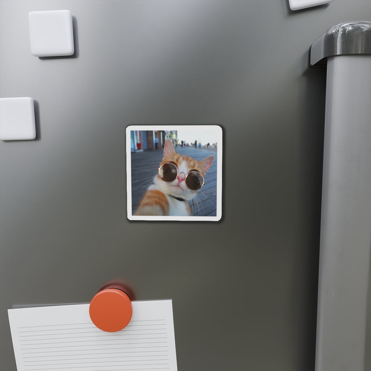 Custom Die Cut Magnets