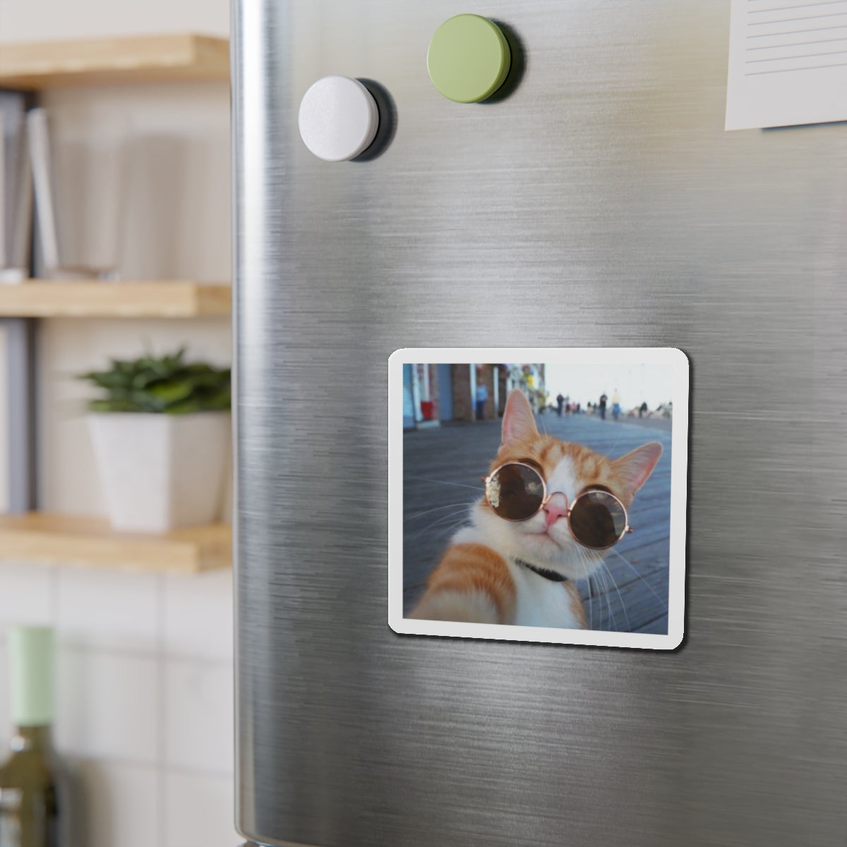 Custom Die Cut Magnets