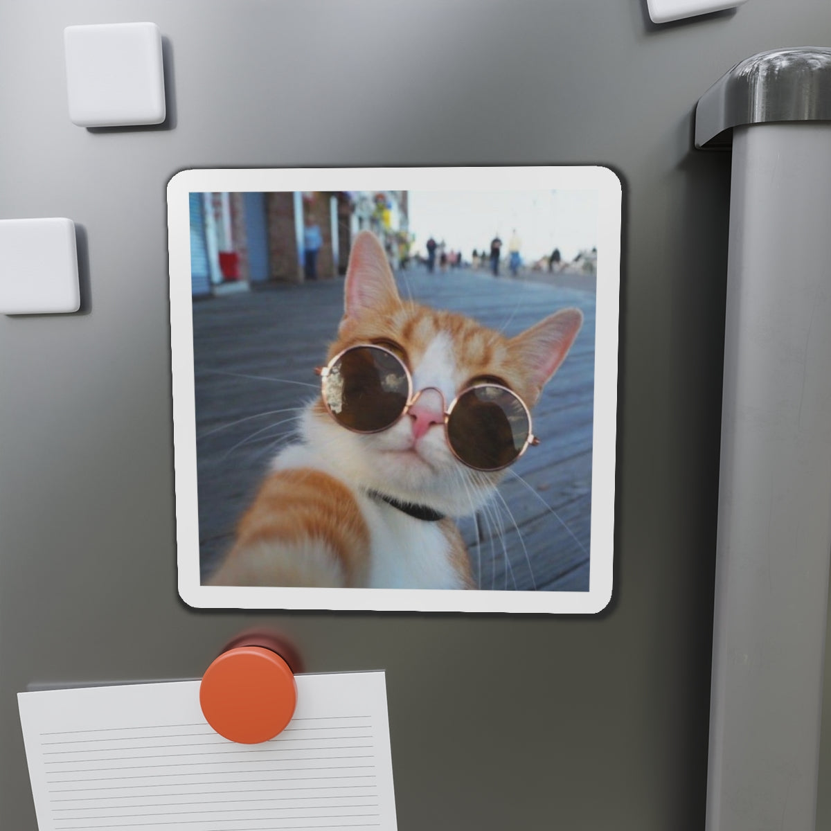 Custom Die Cut Magnets